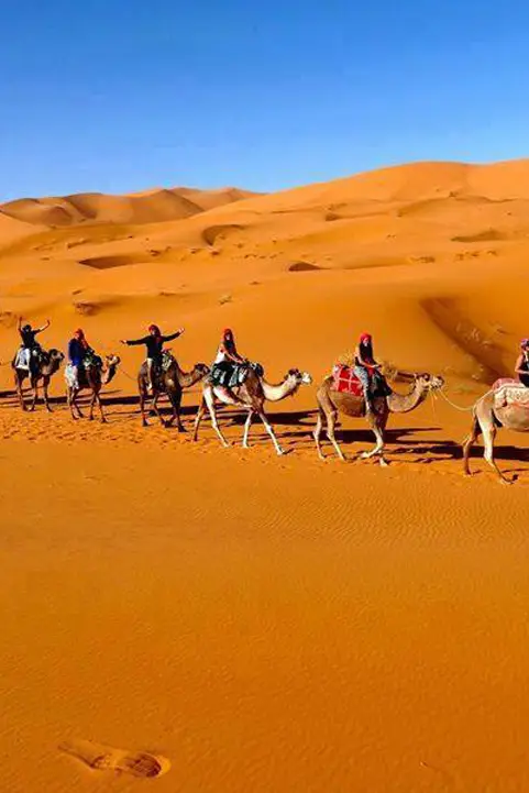 Erg chebbi Camel Trekking for 1 Night